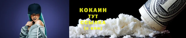 дмт Карпинск
