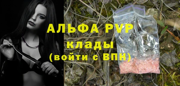 дмт Карпинск