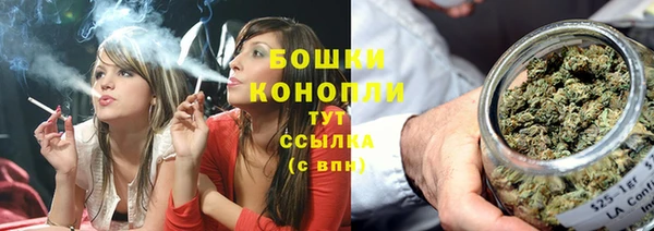 дмт Карпинск